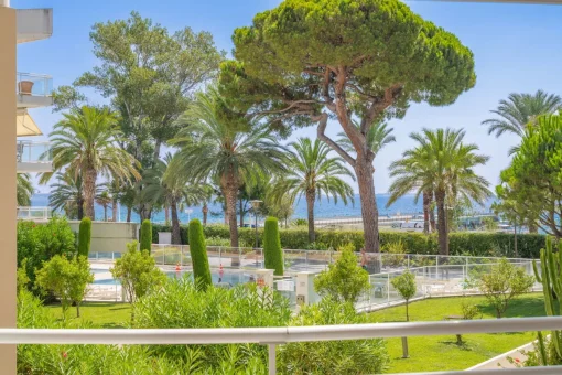 Apartment in Cannes, Provence-Alpes-Cote d'Azur