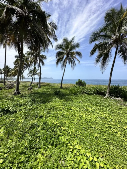 , Las Terrenas, Dominican Republic