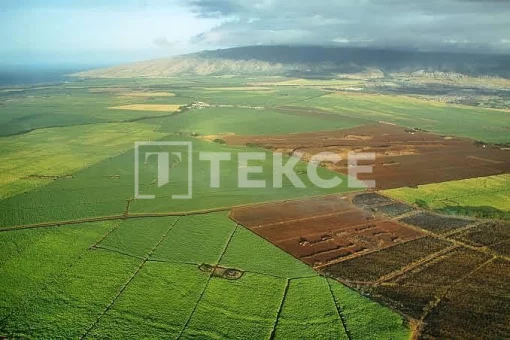 Residential and Commercial Zoned Land in Istanbul, Istanbul Province, Turkey